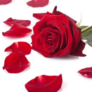 AddOnPackages_Royal_Romance-303x303